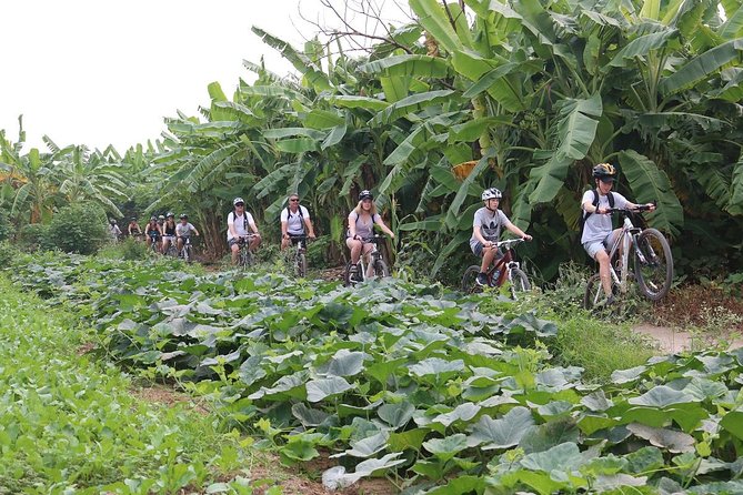 Half-Day Bicycle Tour Combine City & Countryside + Train Street - How hard is the cycling?