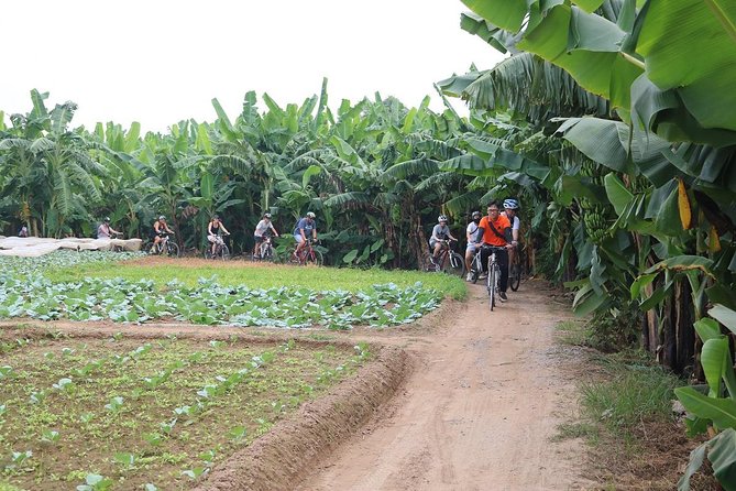 Half-Day Bicycle Tour Combine City & Countryside + Train Street - Starting in the Old Quarter