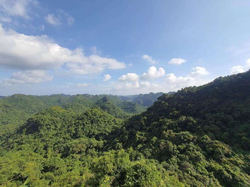 Half Day Hiking to Cat Ba National Park with a Guide - Key points to know before you go