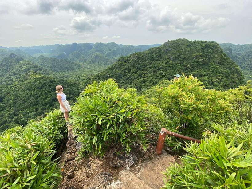 Half Day Hiking to Cat Ba National Park with a Guide - Why this four-hour outing works on Cat Ba