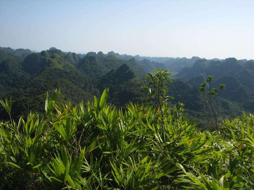 Half Day Hiking to Cat Ba National Park with a Guide - Trung Trang Cave and its limestone formations