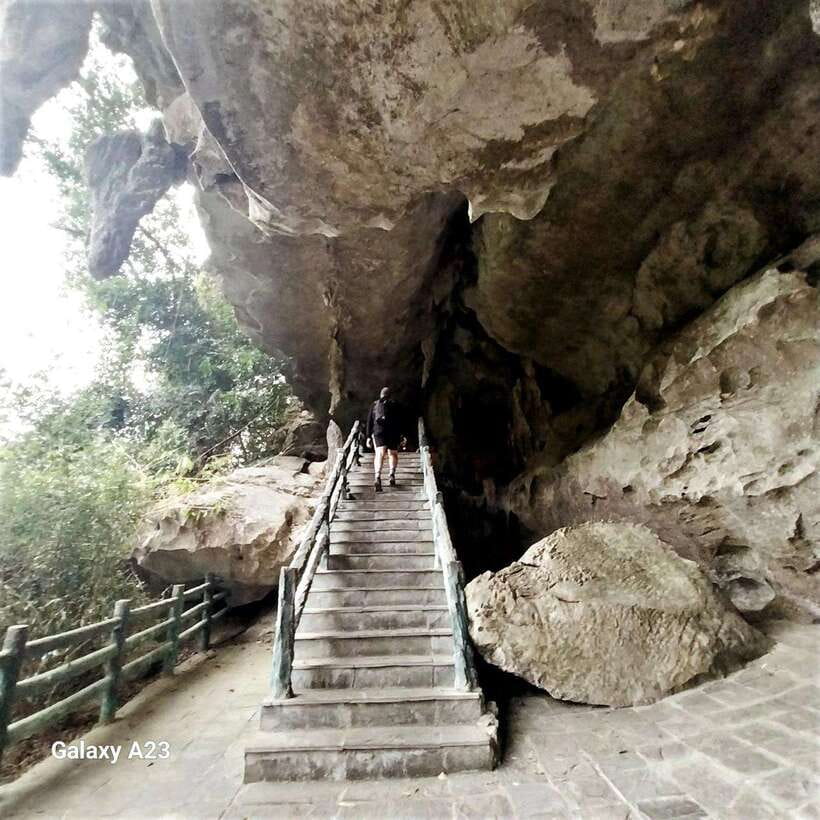 Half Day Hiking to Cat Ba National Park with a Guide - Guides, transport, and group size