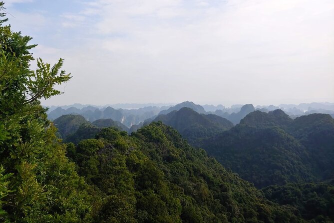 Half Day Hiking to Discover Cat Ba National Park with a Guide - Key points to know before booking