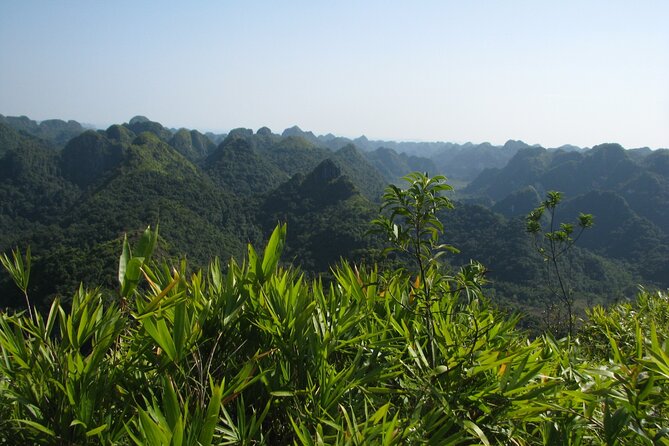 Half Day Hiking to Discover Cat Ba National Park with a Guide - Hospital Cave: wartime history inside the mountain