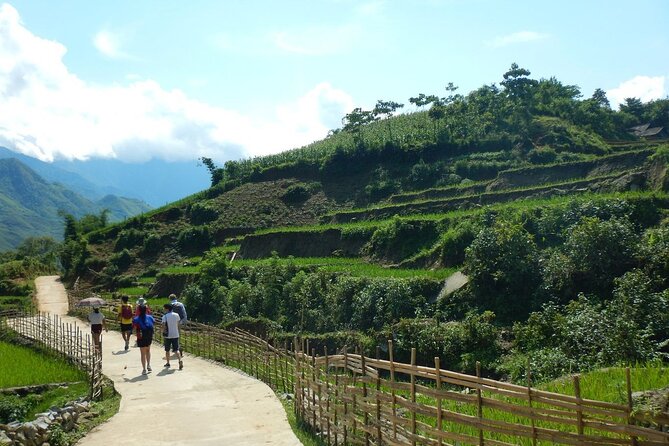 Half-Day Hometrek from Sapa with Hmong Sister House - Lao Chai and the rice paddies