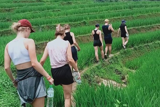 Half-Day Hometrek from Sapa with Hmong Sister House - Leaving Sapa for Y Linh Ho