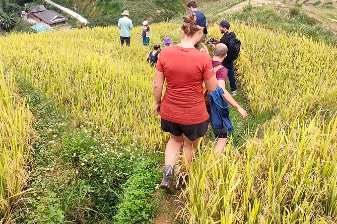 Half Day Private Trekking Mu Cang Chai_Morning or Afternoon - Lunch at an indigenous homestay