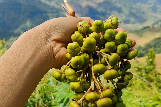 Half Day Private Trekking Mu Cang Chai_Morning or Afternoon - Is $60 per person good value?