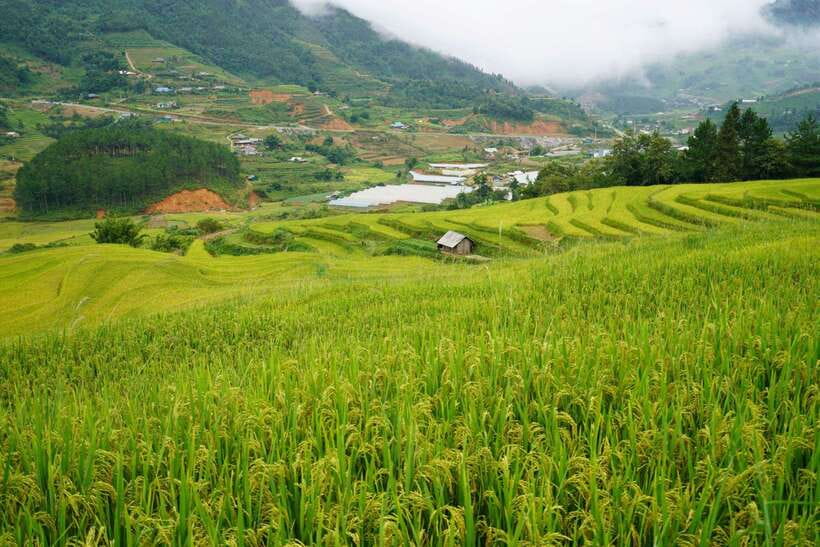Half Day Sapa Trekking to Visit Lao Chai - Ta Van - How difficult is the 9-kilometer route?