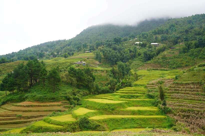 Half Day Sapa Trekking to Visit Lao Chai - Ta Van - Weather, views, and the right season of mind
