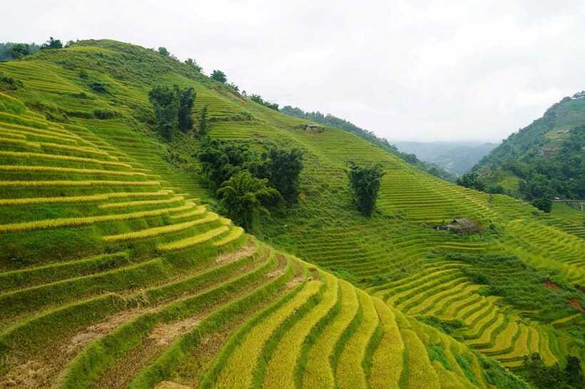 Half Day Sapa Trekking to Visit Lao Chai - Ta Van - What the $22 price really covers