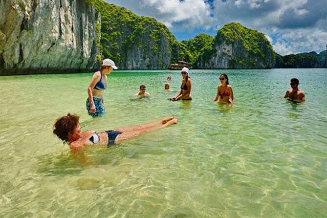 Halong Bay Day Tour 6Hour Deluxe Cruise Limousine Bus Small Group - Who should choose this Halong Bay day trip?