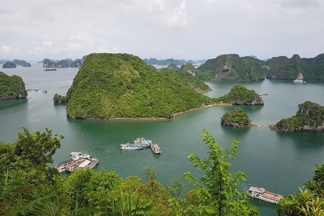 Halong Bay Shore Excursion: Full Day Cruise Tour from Cruise Port - The pearl farm adds a useful local connection