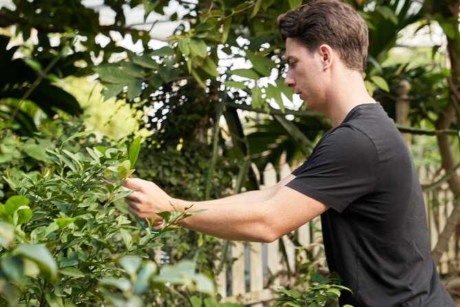 Hanoi Cooking Class in a Haven of Tranquility - Thom culinary - Is $64.31 a good value?
