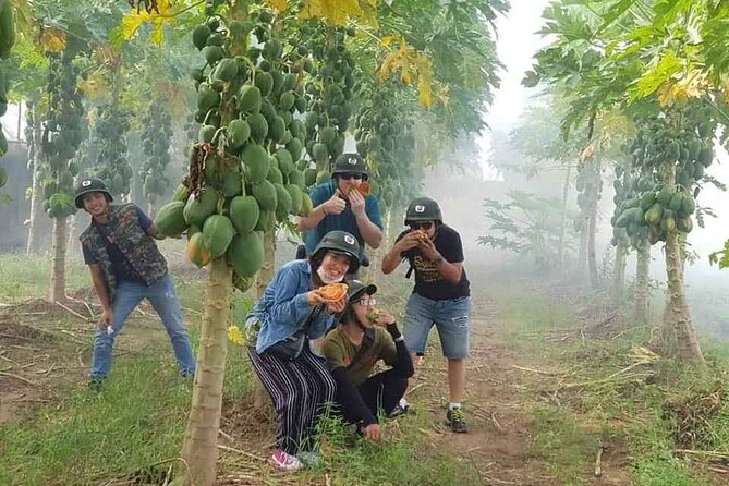Hanoi Countryside Motorbike Tour: Red River Culture & Daily Life - Red River farms, fruit trees, and village roads