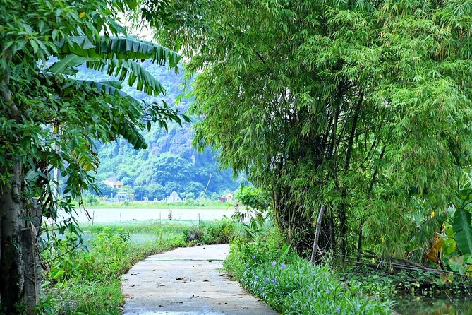 Hanoi Full Day A Private Tour With Mix of History and Activities - Water puppets: a strong finish to the day