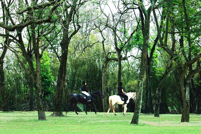 Hanoi Horseback Riding Club & Tours - Exclusive Experience - What makes this Hanoi horse ride worth considering