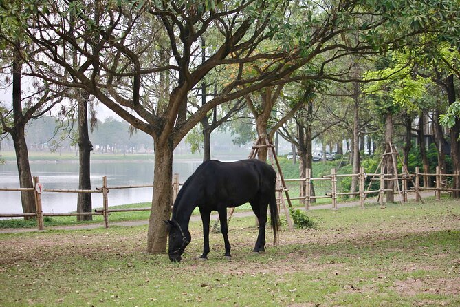 Hanoi Horseback Riding Club & Tours - Exclusive Experience - The 2,000-meter beginner trail