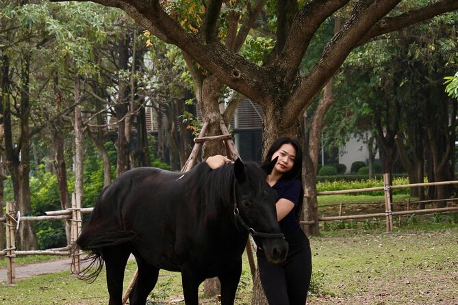 Hanoi Horseback Riding Club & Tours - Exclusive Experience - Feeding horses and making a keepsake