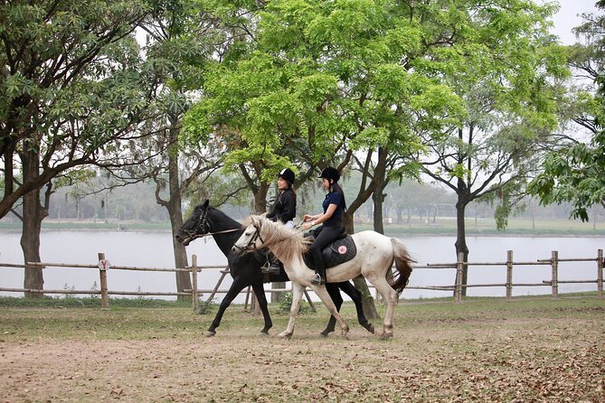 Hanoi Horseback Riding Club & Tours - Exclusive Experience - The first 15 minutes: meeting the horses