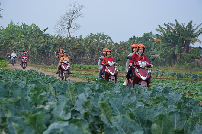 Hanoi Motorbike Tours Led By Women: Hanoi Outskirts & Rural Life - Starting at the Hanoi Opera House