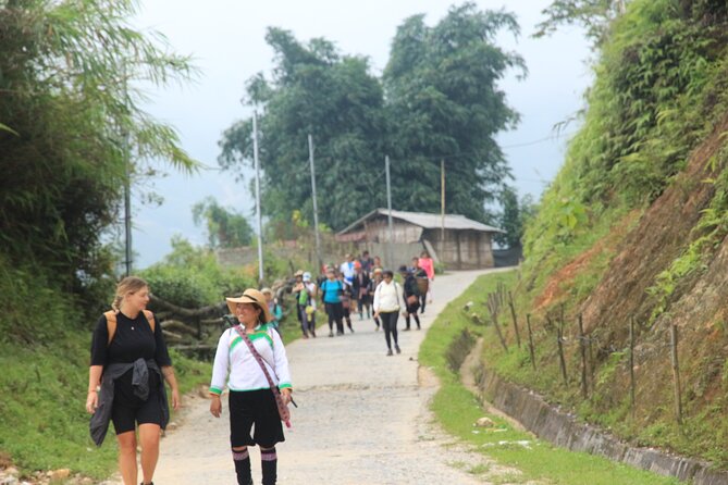 Hanoi - Sapa 3 Day 2 Night Trekking With Hotel & Homestay - The Y Linh Ho to Ta Van walk