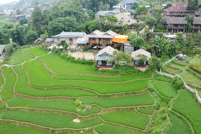Hanoi - Sapa 3 Day 2 Night Trekking With Hotel & Homestay - What the transport and timing mean