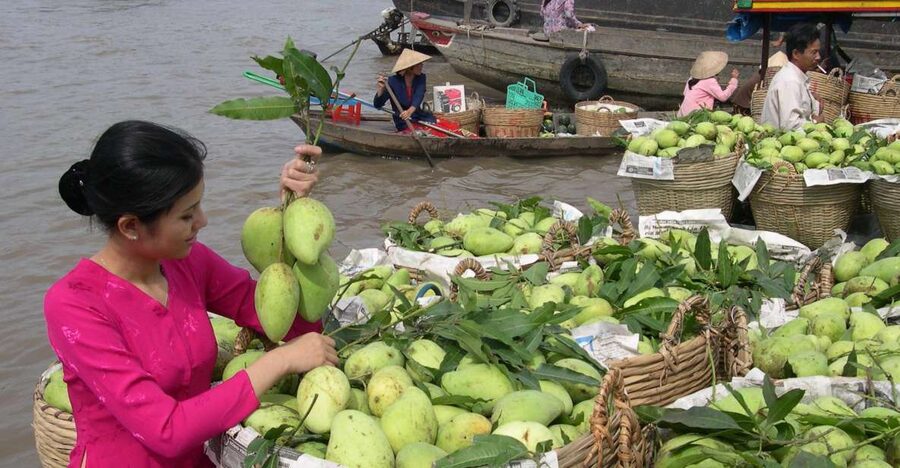 HCMC: Cai Rang Floating Market & Mekong Delta Private Tour - Key Points Before You Book