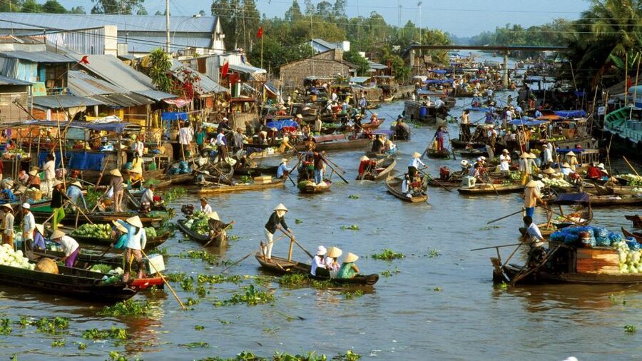 HCMC: Cai Rang Floating Market & Mekong Delta Private Tour - Honey Tea, Fruit, Music, and a Taste of Local Life