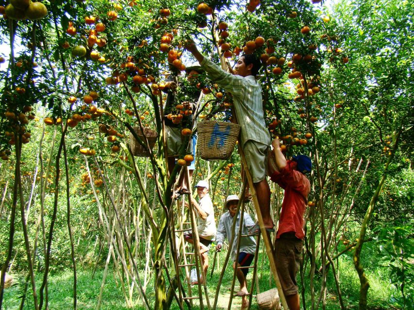 HCMC: Cai Rang Floating Market & Mekong Delta Private Tour - Lunch and the Practical Value of a Private Guide