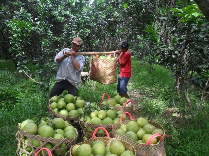 HCMC: Cai Rang Floating Market & Mekong Delta Private Tour - Who Will Get the Most From This Tour