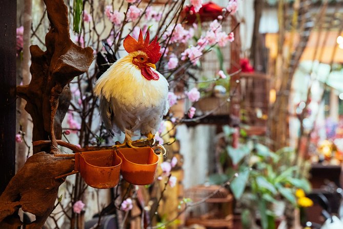 Highlights & Hidden Gems With Locals: Best of Hanoi Private Tour - Why this works best on your first day in Hanoi
