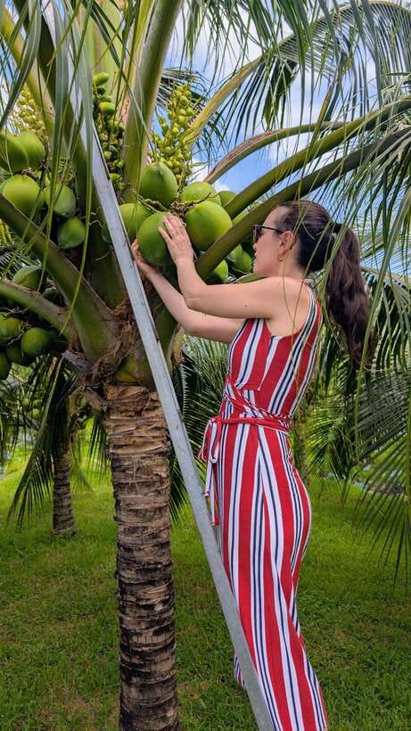 Ho Chi Minh: 1-Day Mekong Delta Tour-Floating Market & Islet - Fruit gardens, monkey bridges, and local snacks