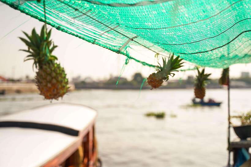 Ho Chi Minh: 3-Day Mekong Delta & Optional Exit to PhnomPenh - Tra Su Forest brings a quieter afternoon