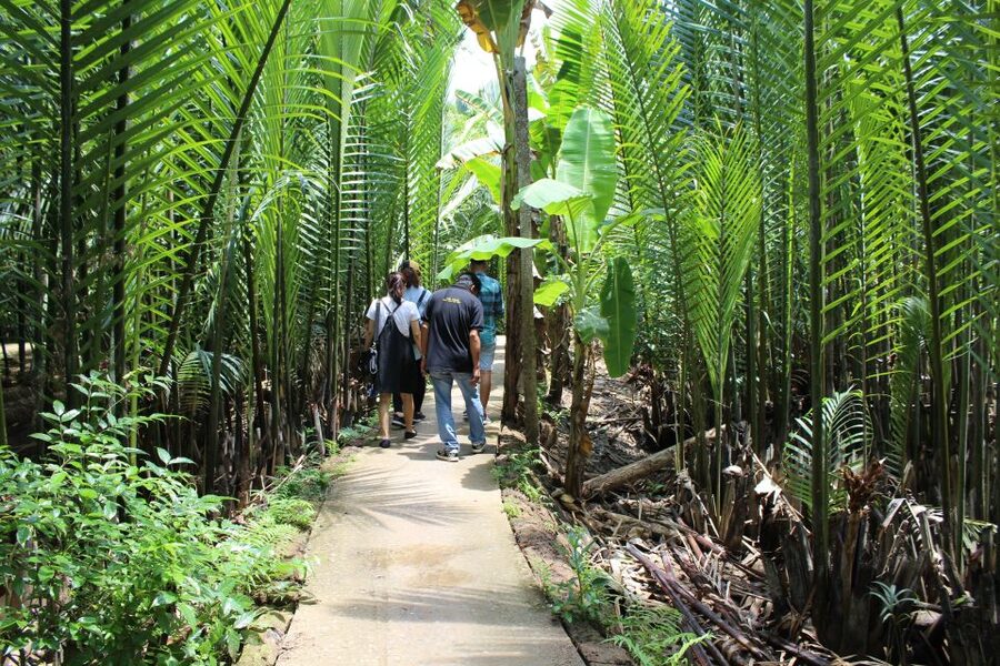 Ho Chi Minh City: Discover Mekong Delta & Coconut Village - My Tho and the wide Mekong by motorboat