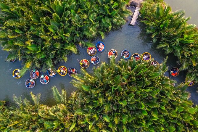 Hoi An: Coconut Basket Boat Ride in the Coconut Forest - The first view of the coconut forest