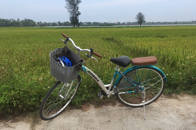 Hoi An countryside biking tour, water buffalo+ basket boat ride - What the Water Buffalo Ride Is Really Like