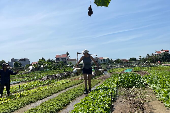 Hoi An countryside cycling Tour,Basket Boat-organic farming-lunch - The buffalo stop brings farming to life