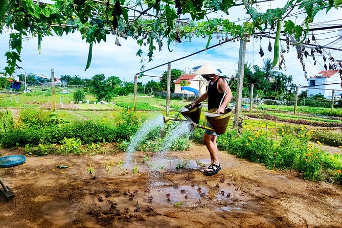 Hoi An countryside cycling tour - Rice fields, shrimp farms, and country roads