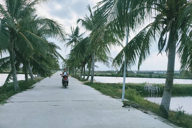 Hoi An Countryside Discovery Tour By Motorbike - Local food - Rice paper: a short lesson in everyday food
