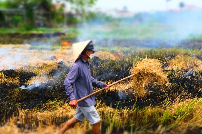 Hoi An Countryside Vespa Tour: Food, Culture & Daily Life - A Meal That Gives the Tour Its Warmest Moment