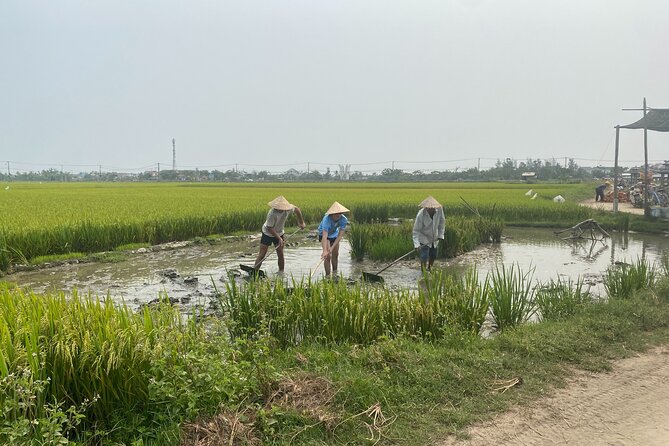 Hoi An Countryside Vespa Tour: Food, Culture & Daily Life - Rain, Road Conditions and Comfort