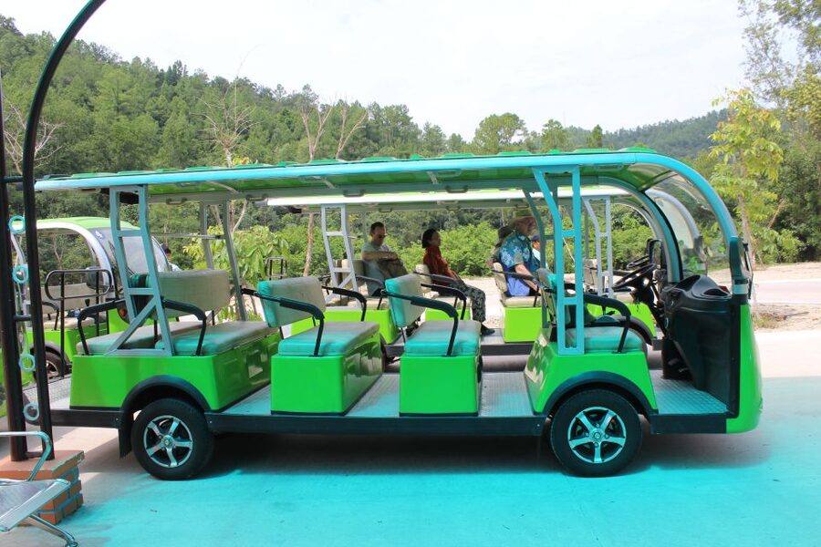Hoi An/Da Nang: My Son Afternoon tour: Banh my and Cruise - What this My Son trip is really like