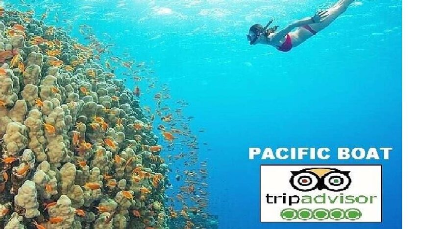 Hoi An/Da Nang: Snorkelling & Island-Hopping Speedboat Tour - Five things to know before you book