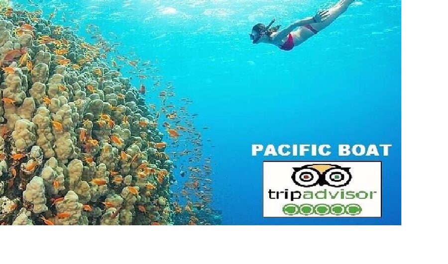 Hoi An/Da Nang: Snorkelling & Island-Hopping Speedboat Tour - 8:30 pickup and the ride to Cua Dai Harbour