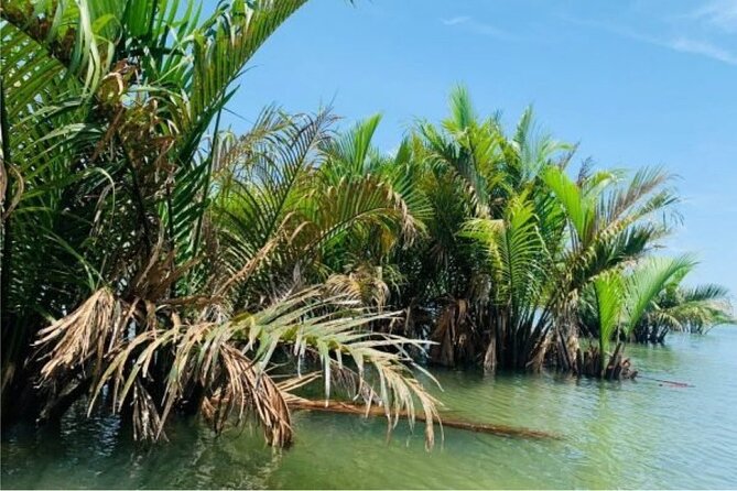 Hoi An Farming And Fishing Life - Why This Half-Day Tour Works So Well