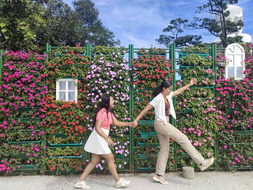 Hoi An: Full-day Ba Na Hills & Amazing Golden Bridge - Key things to know before you book