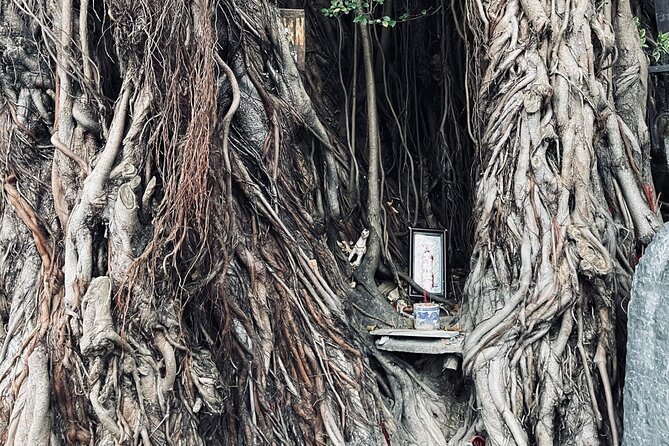 Hoi An Ghosts, Death, Mystery Unveiled - A mystery monster, told with a lighter touch