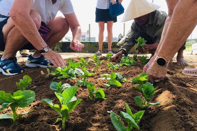 Hoi An Local Market and Vegetable Village Cooking Class - Starting at Hoi An Market