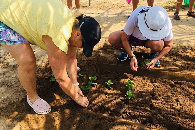 Hoi An Local Market and Vegetable Village Cooking Class - Tra Que Vegetable Village and the farm-to-table idea